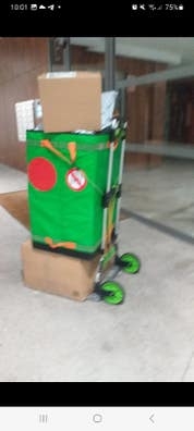 Ayudante de paqueteria