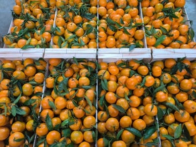 Cortadores de naranja.