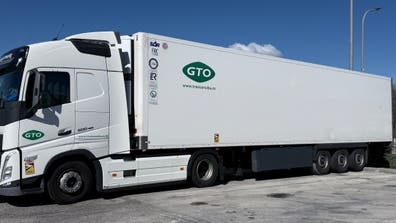 Conductor con C+E y CAP