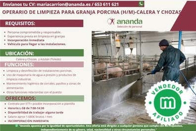 OP.  LIMPIEZA PARA GRANJA PORCINA(H/M)-T