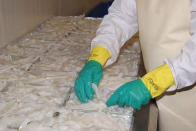 Personal de producción de pescado