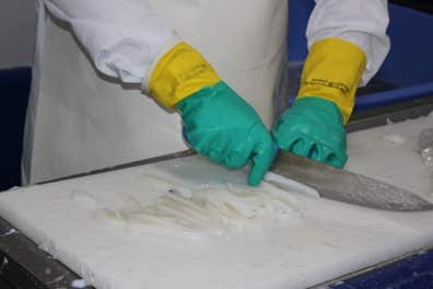 Personal de producción de pescado