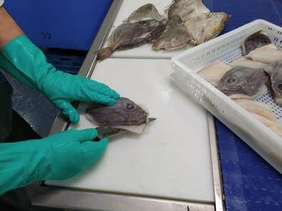 Personal de producción de pescado