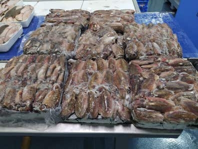Personal de producción de pescado
