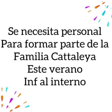 Cattaleya Cocktails Retamar