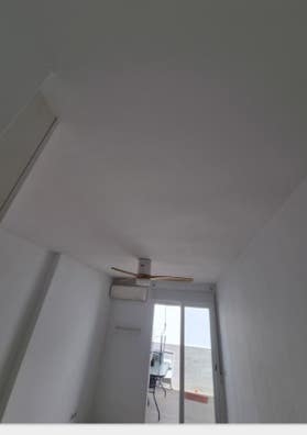 pintor oficial
