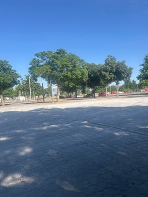 Asemos todo tipo de trabajos
