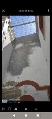 profesionales de la pintura