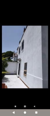 profesionales de la pintura
