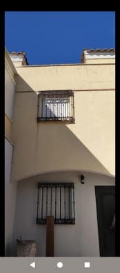 profesionales de la pintura