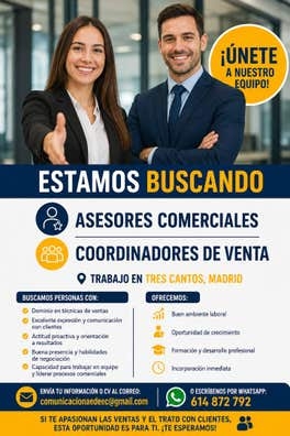 asesor y  coordinador de ventas