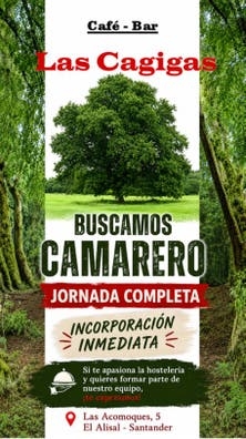 Buscamos camarero/a