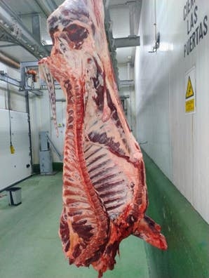 transportista carne