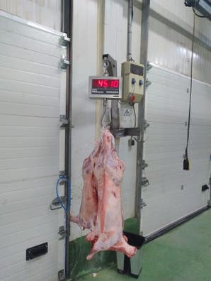 transportista carne