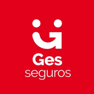 Gestor comercial asegurador