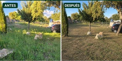 SE OFRECEn SERVICIOS DE DESBROCE