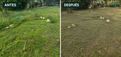SE OFRECEn SERVICIOS DE DESBROCE