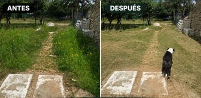 SE OFRECEn SERVICIOS DE DESBROCE