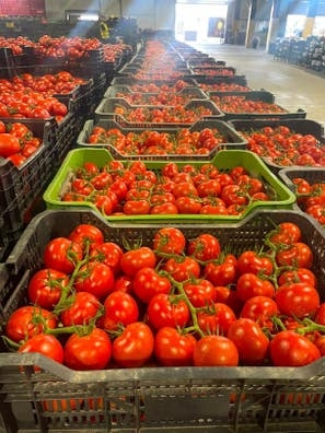 Frutería de Marbella
