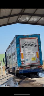 BUSCAMOS CONDUCTOR