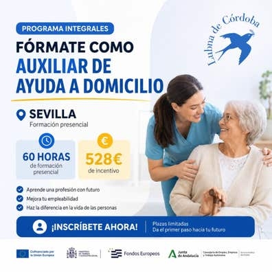 Auxiliar de Ayuda a Domicilio