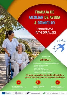 Auxiliar de Ayuda a Domicilio