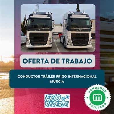 CONDUCTOR TRÁILER FRIGO INTERNACIONAL
