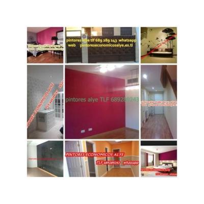 pintor en borox. (alye 689289243) español