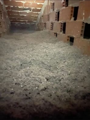 trabajador con carnet de conducion