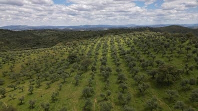 PAREJA PARA TRABAJAR Y VIVIR EN FINCA