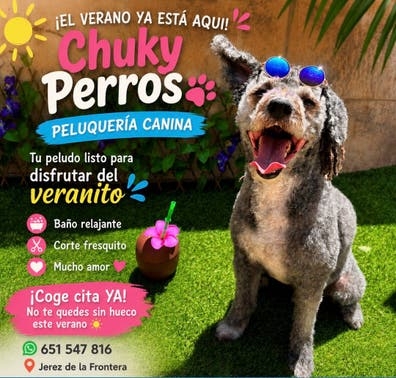Peluquera canina