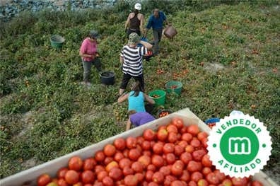 Oferta empleo en Sevilla
