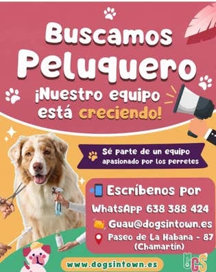 Peluquero o peluquera canino