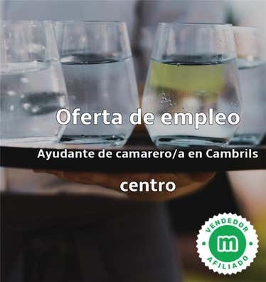 AYUDANTE DE CAMARERO/A EN CAMBRILS