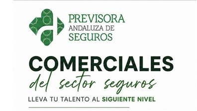 COMERCIAL SEGUROS