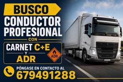Conductor Profesional