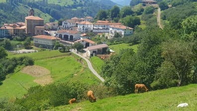 necesitamos personal para Agroturismo