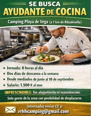 Ayudante de cocina