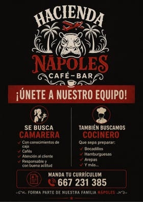 Se busca camarero y planchista