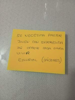 Pastor