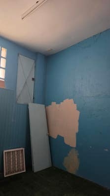 Albañil pintor