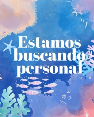 Dependienta tienda de moda/redes