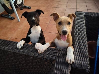 busco empleada de hogar INTERNA