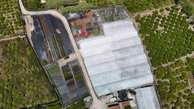 Peón agrícola en vivero de producción