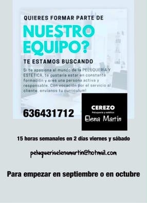 Se busca