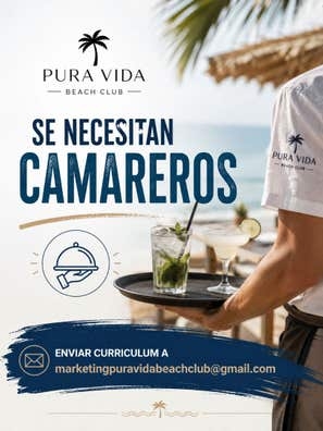 SE NECESITA CAMARERO/A