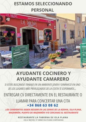 AYUDANTE COCINERO Y AYUDANTE CAMARERO