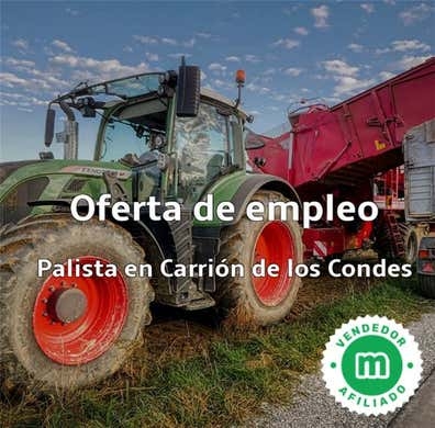 PALISTA EN CARRIÓN DE LOS CONDES