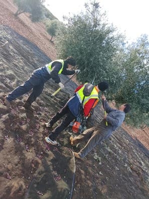 Agrocampo Petit