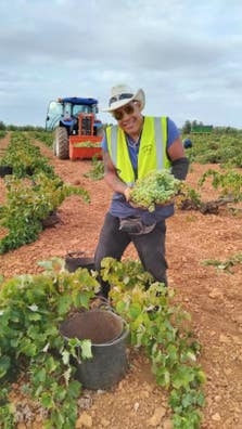 Agrocampo Petit